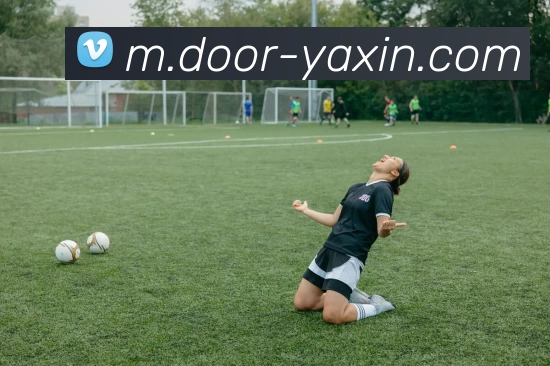 亚新体育平台生态图